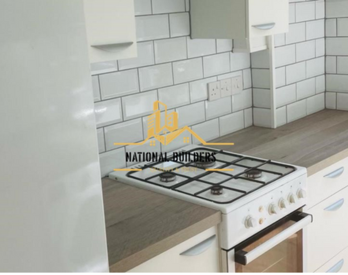 Kitchen Renovation in London